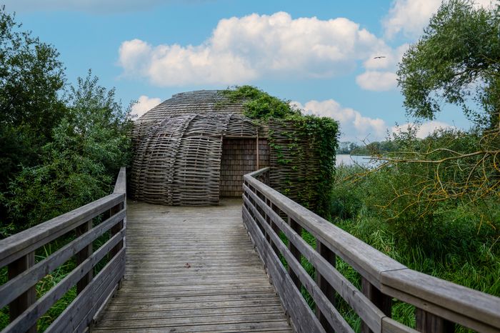 Visite de l'observatoire ornithologique