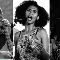 Concert au jardin: IsaWill Quartet