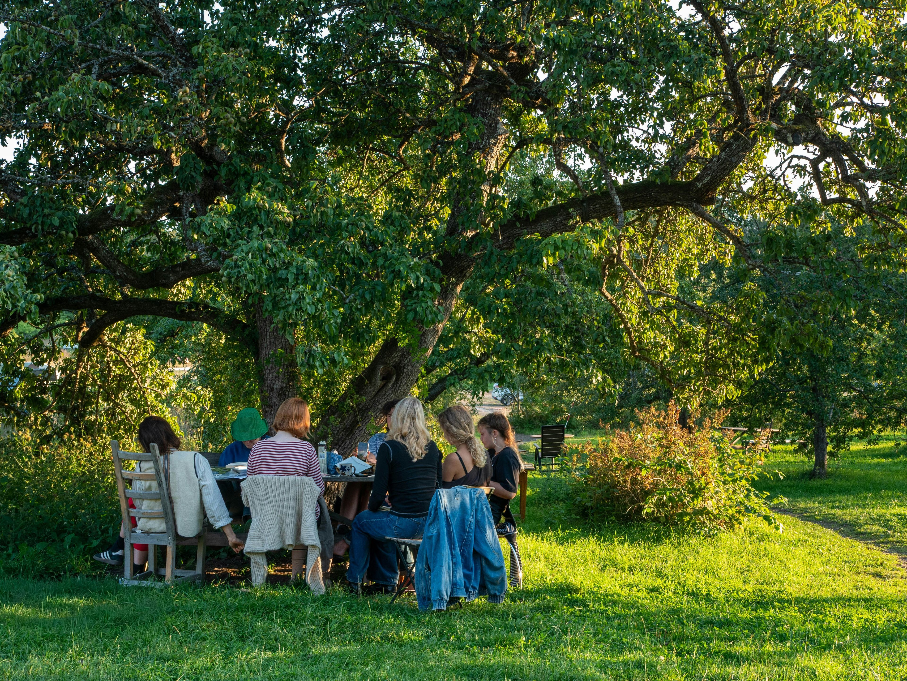 La grande tablée du Jardin