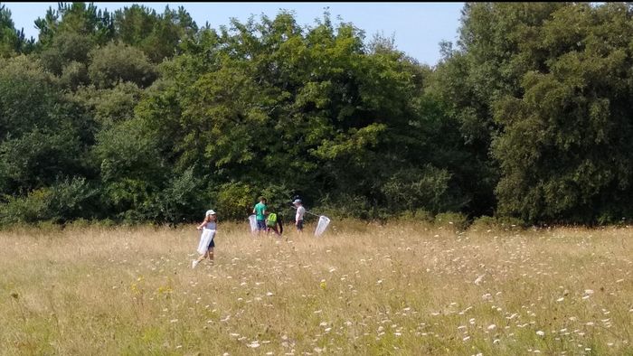 Les landes de Monval