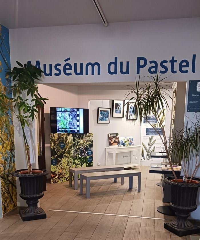 Entrée Muséum du Pastel gratuite