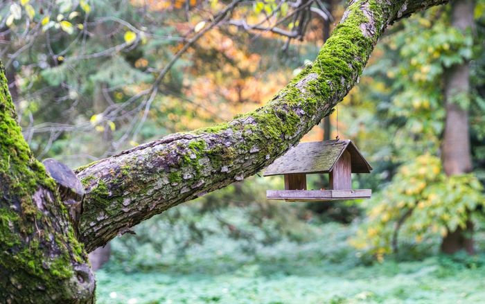 Jardiner au naturel au verger partagé de Floirac