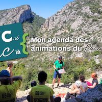 Ansignan, un pont sur la biodiversité