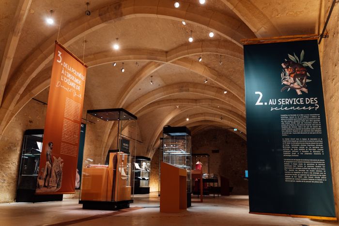 Visite guidée de l'exposition « Voyage autour du monde »
