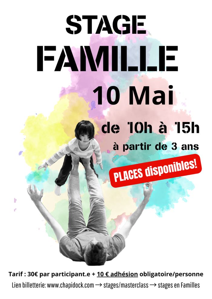 Stages Cirque en  Famille