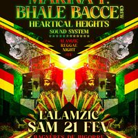 Alamzic Reggae Night #14