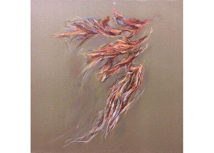 Mare Fecit - Exposition de Laurent Noël