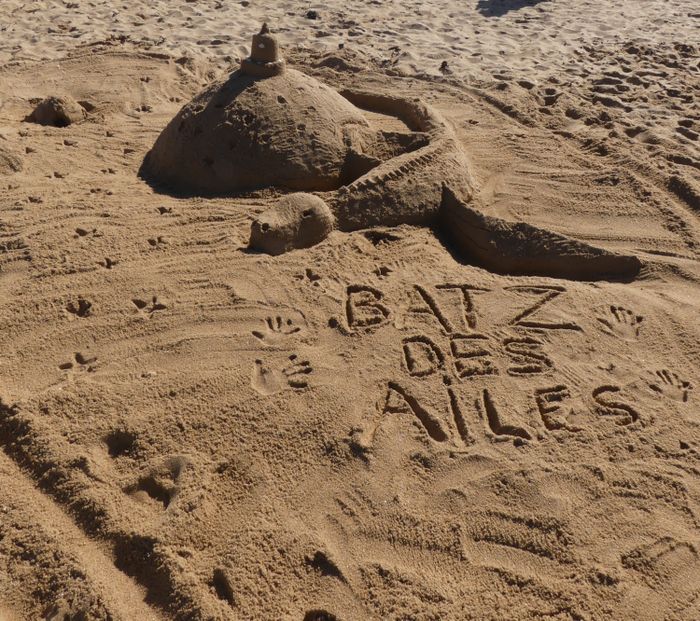 Concours de châteaux de sable