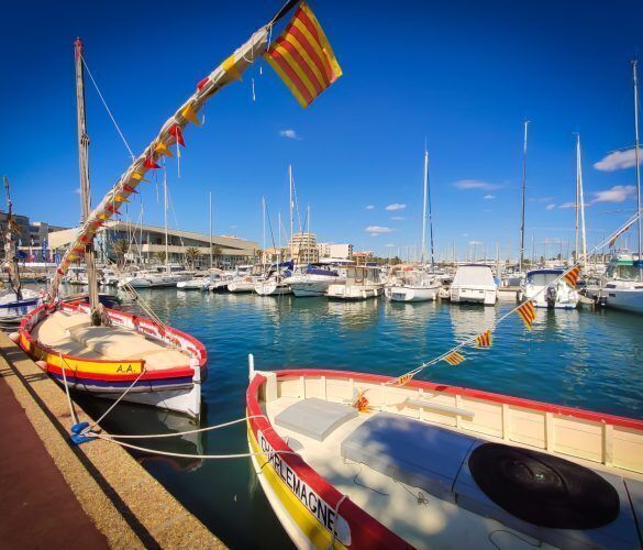 Visite guidée - Découverte Voile Latine