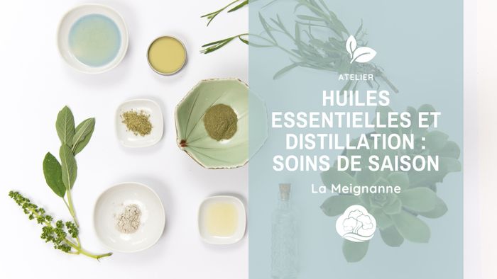 Atelier Huiles essentielles et distillation : Soins de saison