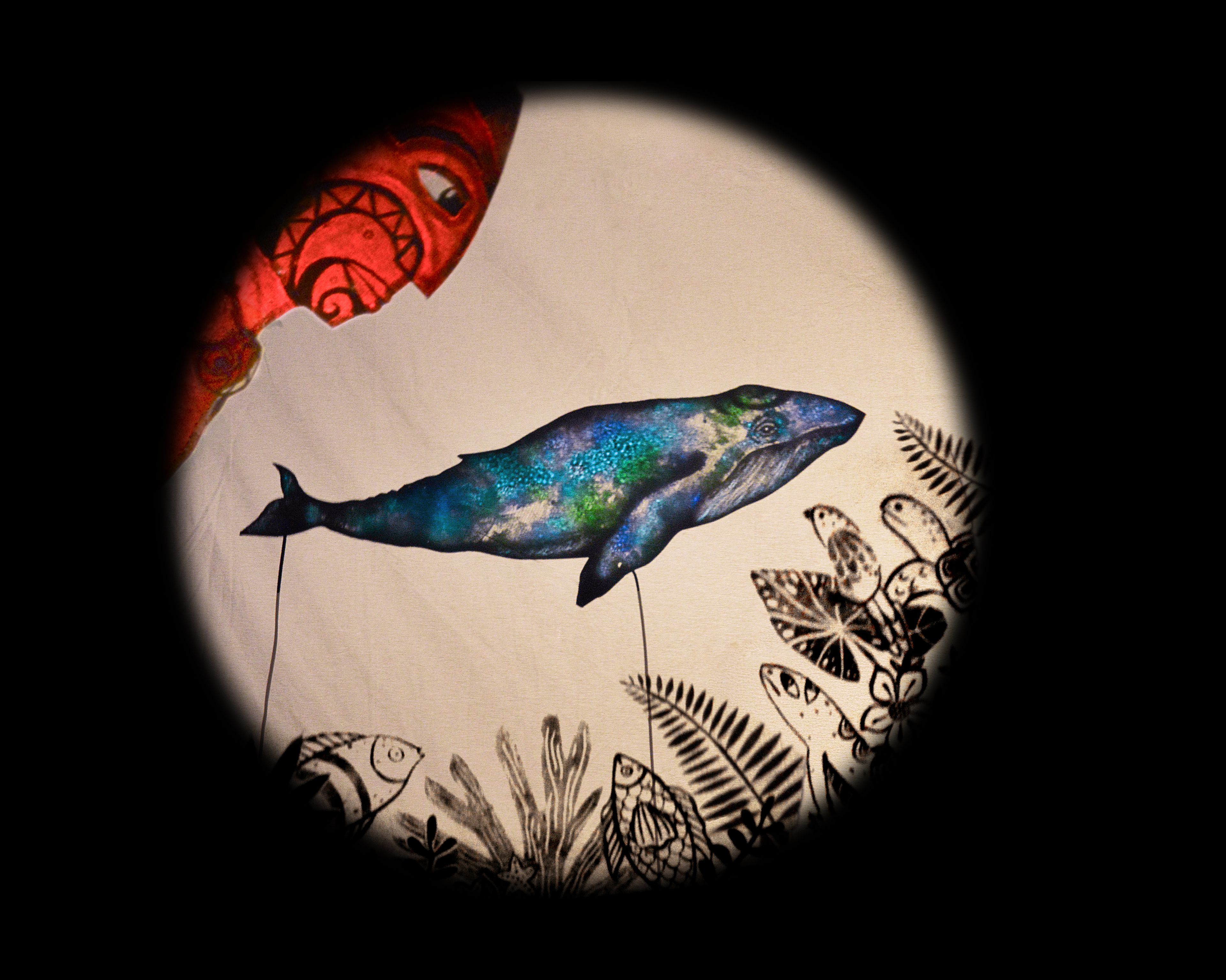 La Baleine Tatouée - Compagnie du Bonjour