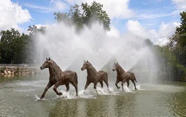 Les chevaux du Halage