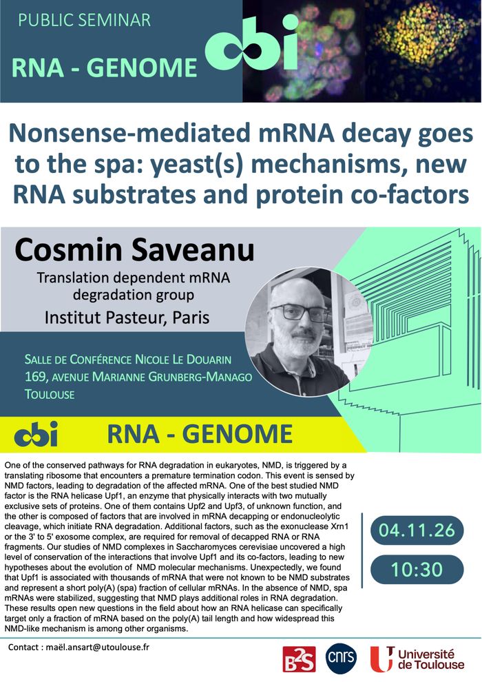 Nonsense-mediated mRNA decay goes to the spa: yeast(s) mechanisms, new RNA substrates and protein co-factors