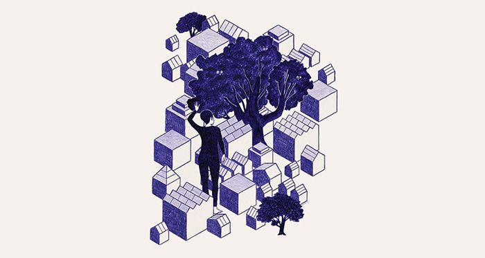 Bonjour humains, ici les arbres