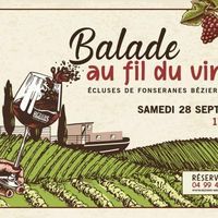 Balade au fil du vin
