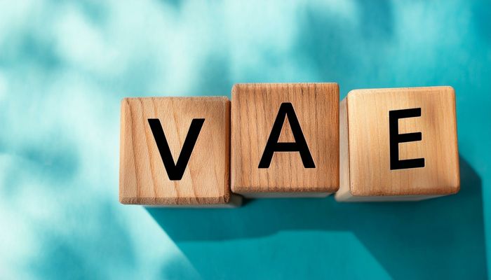 Une information collective pour faire le point sur la VAE.