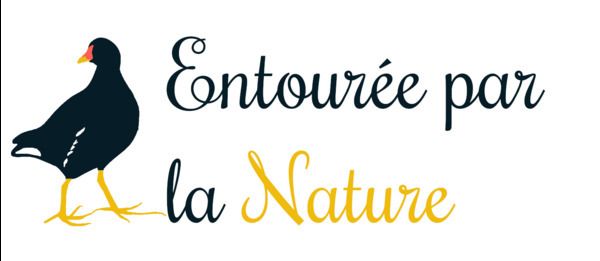 Jouer avec ses sens dans la nature !