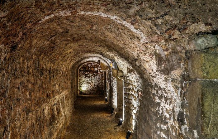 Visite découverte de l'Horreum en espagnol