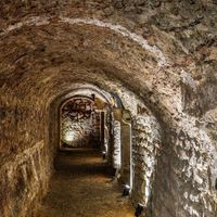 Visite découverte de l'Horreum en espagnol