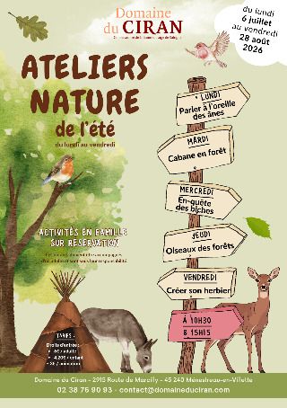 Arrière plan flou de l'image