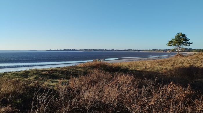 Balade au lever du soleil