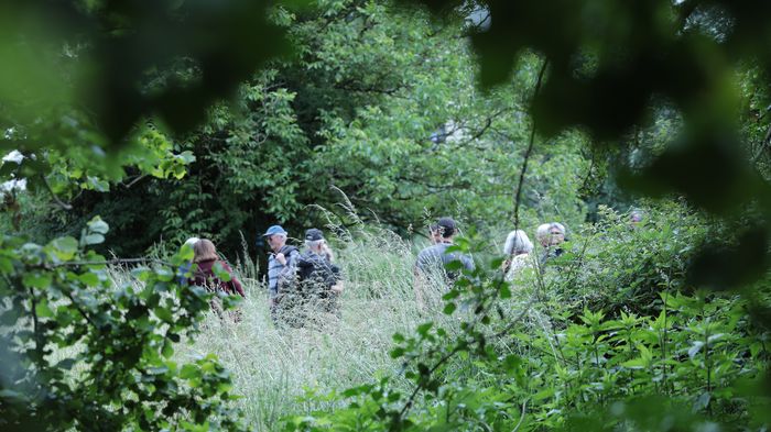 Visite guidée