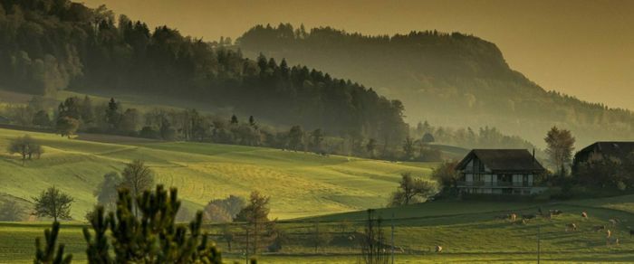 Il était une fois des arbres et des hommes