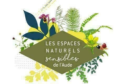 Ens: - La flore sur le chemin des capitelles