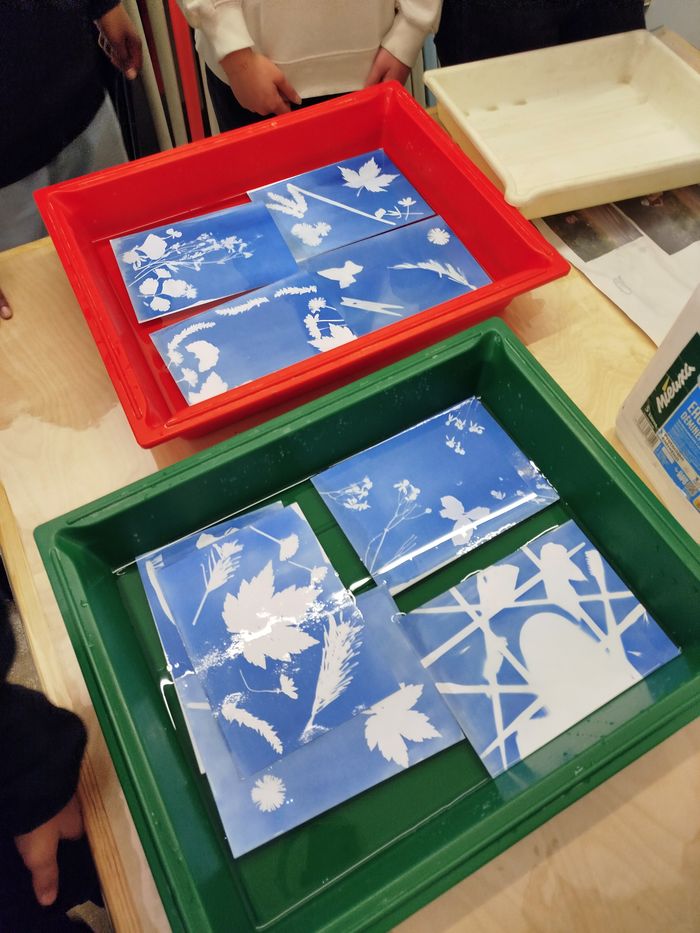 Atelier cyanotype pour les groupes