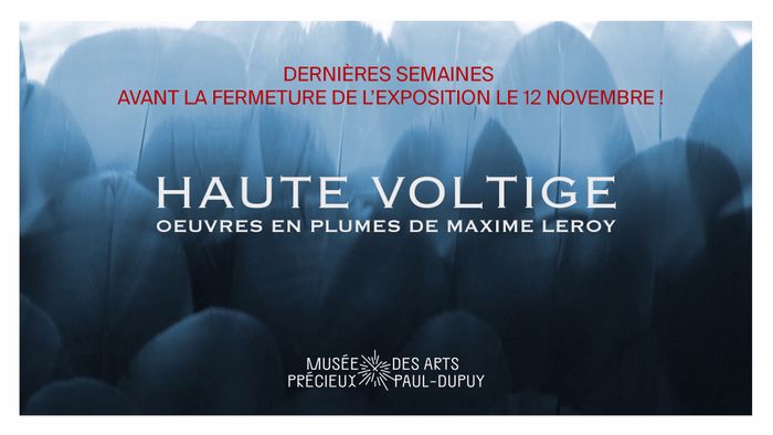 HAUTE VOLTIGE. Œuvres en plumes de Maxime Leroy