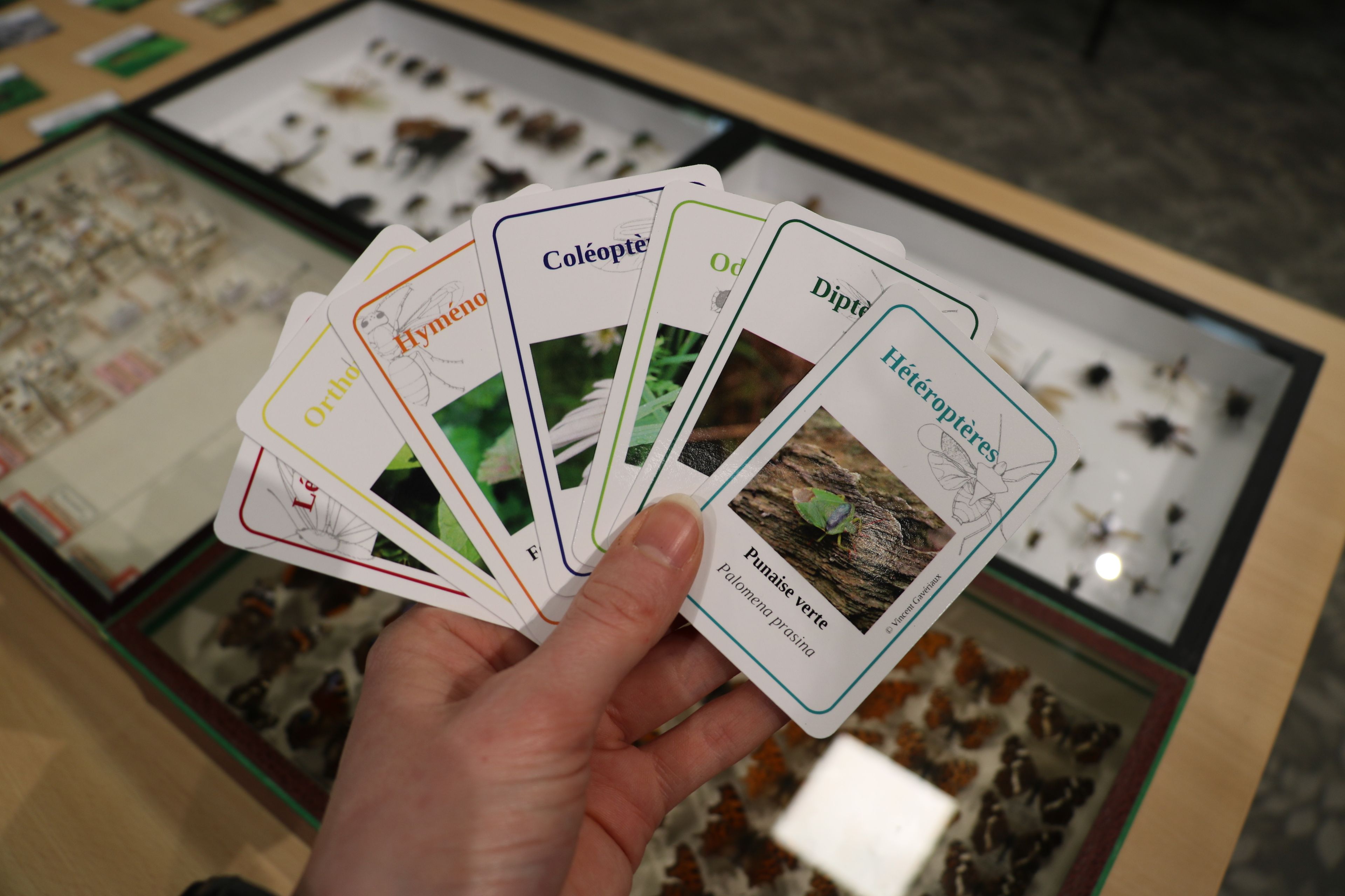 La semaine bleue / Atelier-jeu intergénérationnel