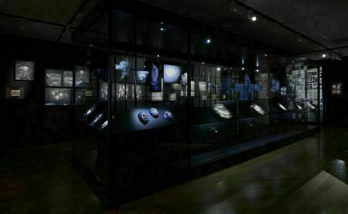Visite des expositions du Nouveau Printemps