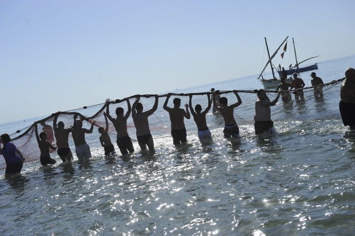 Pêche à la traîne