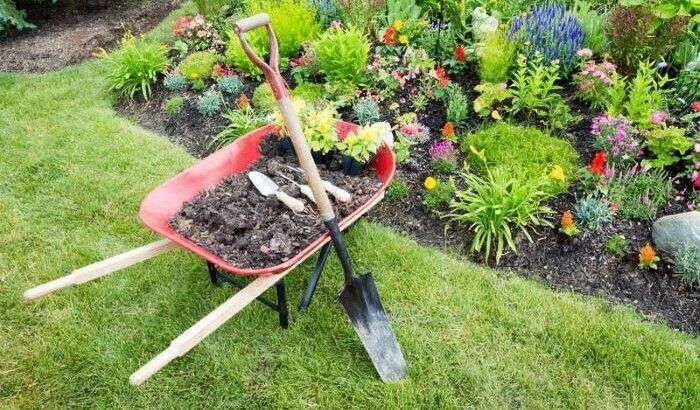 Session jardinage d'été