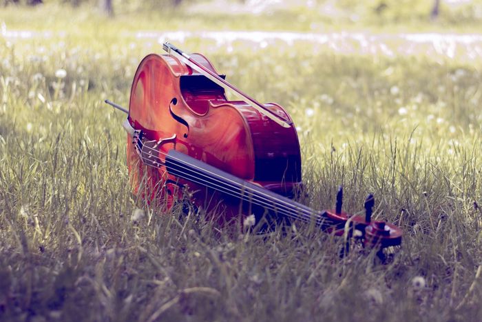 Sieste musicale