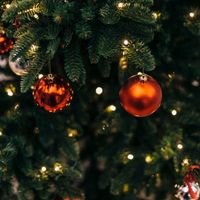 Soirée d’illumination du sapin de Noël des enfants des écoles de Céret