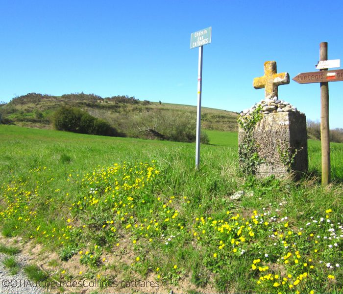 Balade : « Paysages et géologie au fusain »