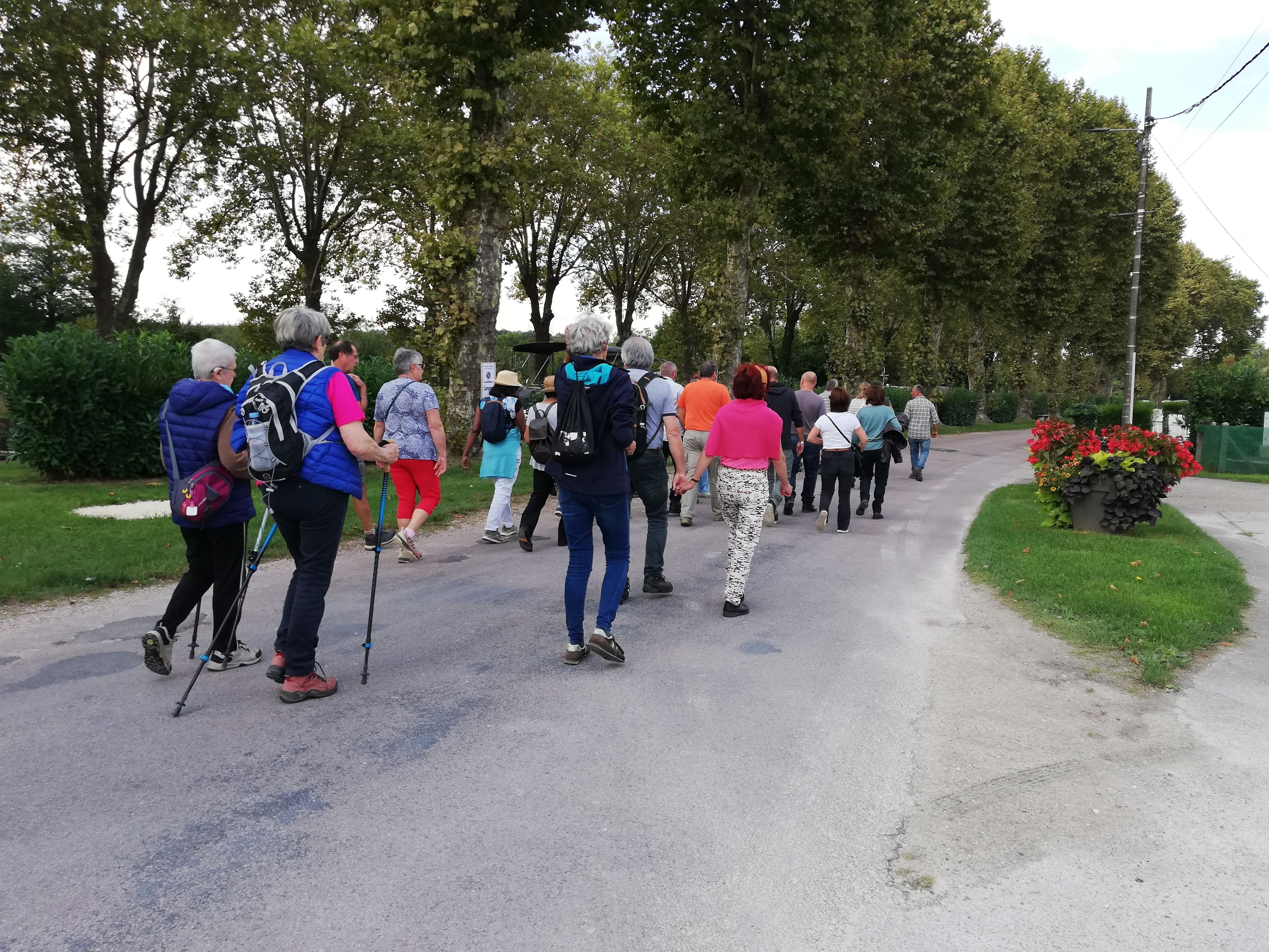 Balade - randonnée sur les venelles de Rogny