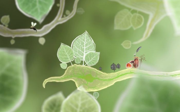 Nature et Magie