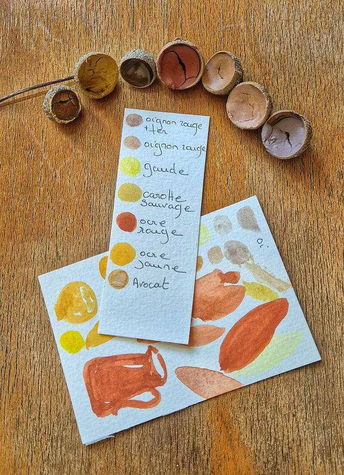 Réaliser ses aquarelles naturelles à partir de plantes