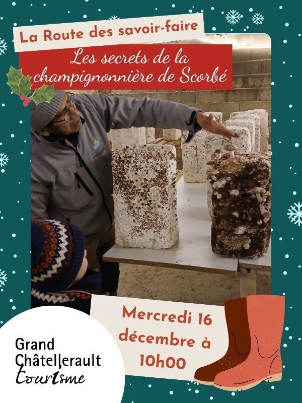 Les secrets de la champignonnière
