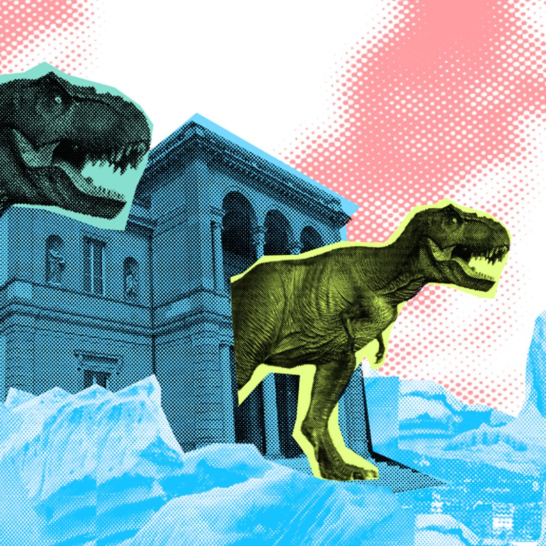 Des Histoires de la Terre: L'extinction des dinosaures - mais où est donc passé le T-rex ?