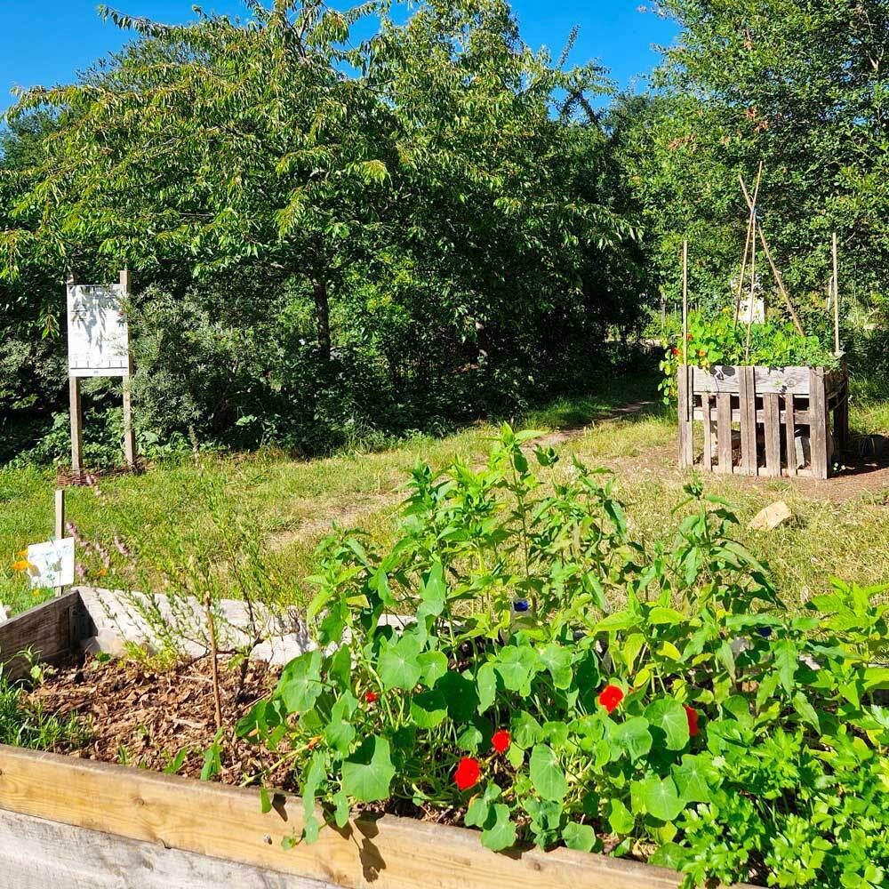 Guided tour: memory of a community garden