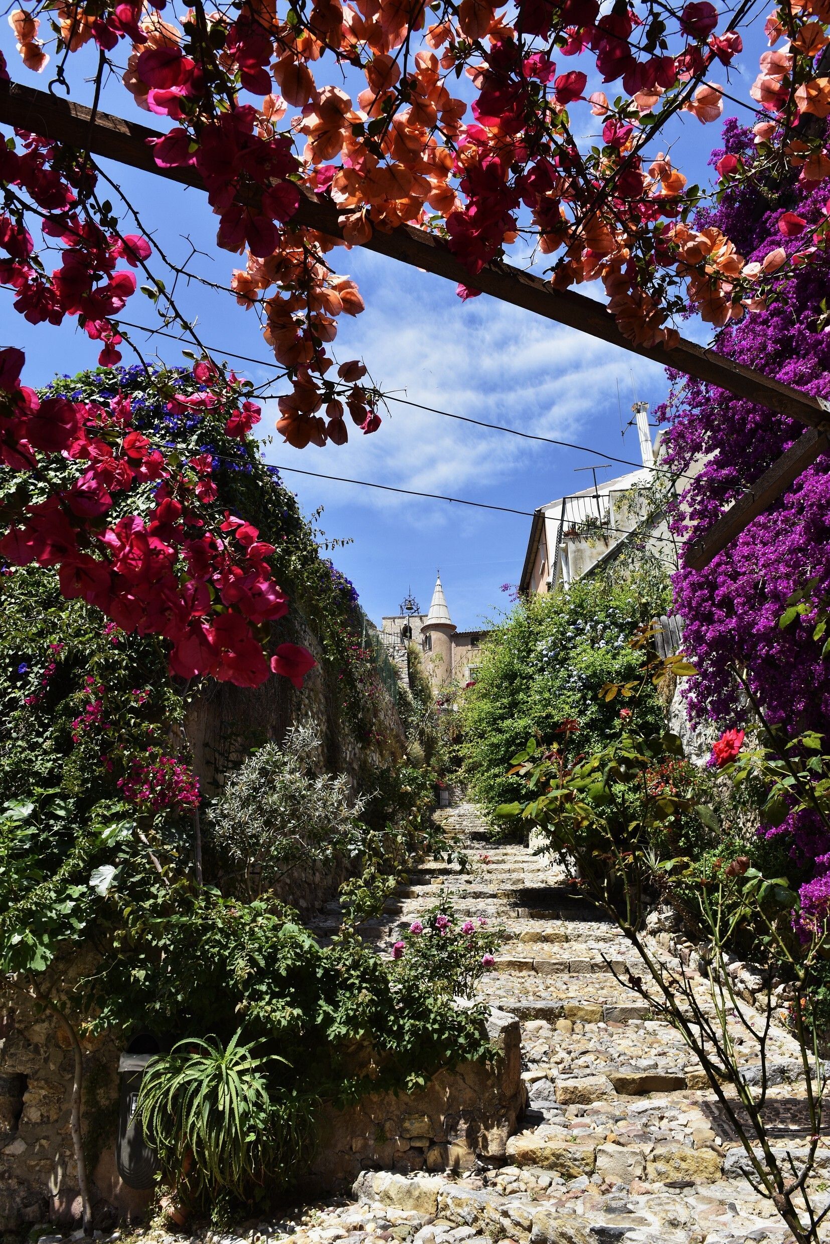 Sur les traces des écrivains à Hyères