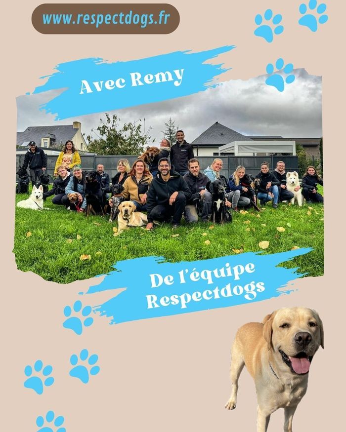 Comprendre et connaitre son chiot/chien