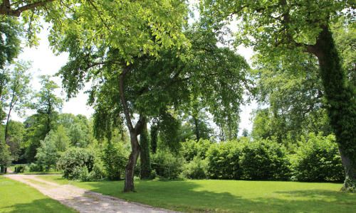Visite libre du parc