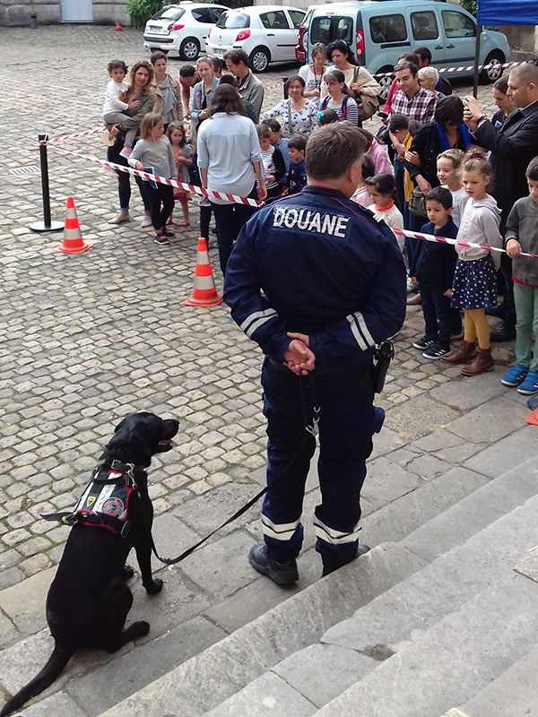 Rencontre avec une équipe maître de chien et découverte des métiers de la douane