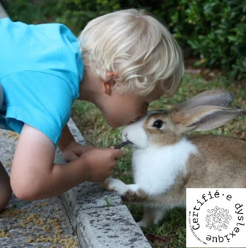 Lire avec un animal spécial DYS