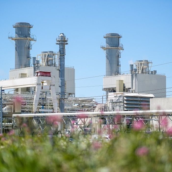 [Scolaires] Immersion au coeur de la biodiversité de la centrale EDF thermique CCG de Martigues