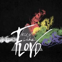 Pink Floyd Tribute - Concert